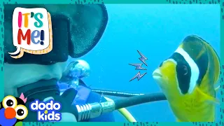 This Fish Is Best Friends With A Human! | Dodo Kids | It’s Me!