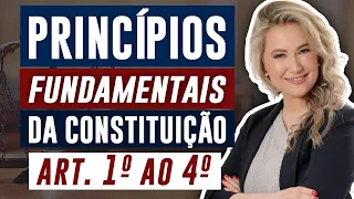 DIREITO CONSTITUCIONAL - PRINCÍPIOS FUNDAMENTAIS (Arts. 1º ao 4º da Constituição Federal)