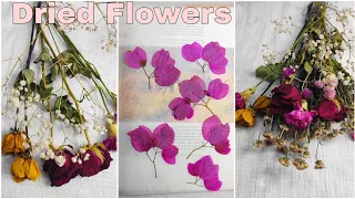 How I Dry my Flowers for DIY & Crafts | Easiest & Cheapest Way to Dry Flowers [ DRIED FLOWERS]