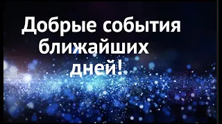 ПРИЯТНЫЕ СОБЫТИЯ БЛИЖАЙШИХ ДНЕЙ🌷Что порадует Что удивит✅ Таро Онлайн Расклад/ Таро DIAMOND WAY