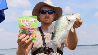 Catching SLAB CRAPPIE on GUMMY WORMS