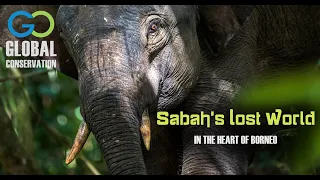 Sabah's Lost World - In the Heart of Borneo