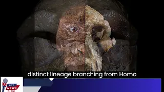 300,000 Year Old Skull Challenges Human Evolution  Unearths Potential New Branch in Family Tree