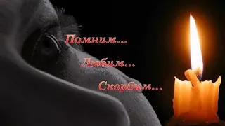 Вечная память героям до конца выполнившим свой воинский долг 🙏🕯️😥