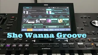 Korg Pa5x - She Wanna Groove - Pop Category - Style Element - OS V 1.2.0 new sound
