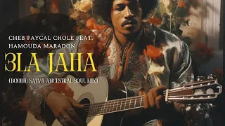 Cheb Faycal Chole feat. Hamouda Maradon - 3la Jaha (Boddhi Satva Ancestral Soul Mix)