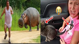 Best Funny Videos  - Funny Compilation Happen Unexpectedly 😆😂🤣#208