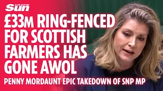 Penny Mordaunt's epic putdown as SNP try to ridicule her visit to Scotland