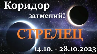 СТРЕЛЕЦ ♐ КОРИДОР ЗАТМЕНИЙ 🚀 с 14 октября  - 28 октября 2023👍 расклад прогноз таро ! 🕑