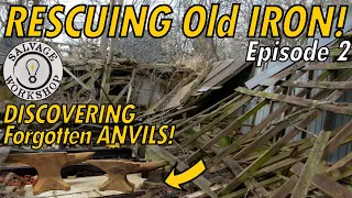RESCUING OLD IRON ~ Two Anvils & a Flat Belt Pedestal Grinder ~ Episode 2 ~ The Abandoned Dairy Farm