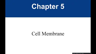 Chapter 5 Cell Membrane