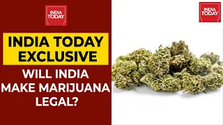 SSR Case: Will India Make Marijuana Legal? | NewsMo