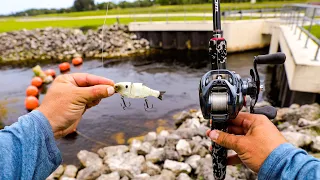 Epic Multi Species Spillway Fishing + A Surprising New PB