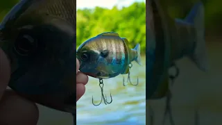 These MICRO Swimbaits Get BIG Bites…