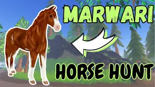 HUNTING FOR THE NEW MARWARI HORSES | Wild Horse Islands