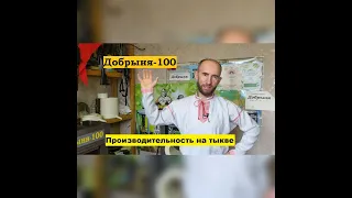 Тыквенное масло/ Производительность пресса Добрыня-100/ % выхода масла / холодный отжим/коммерческий