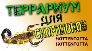 Террариум для скорпионов ( HOTTENTOTTA HOTTENTOTTA )