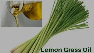 Easy way to make Lemon grass oil/How to make Lemon grass oil