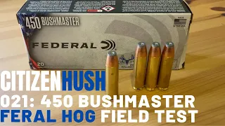 What Does 450 Bushmaster Do to a Feral Hog?