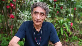 Dr. Gabor Maté  - Ayahuasca Healing at the Temple of the Way of Light