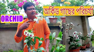 How to care for orchid plant //Bengali//Easy step for beginners