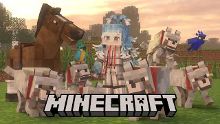 【Minecraft】hay ges