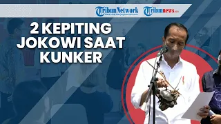Penampakan 2 Kepiting yang Didapat Jokowi saat Kunker ke Cilacap Tinjau Vaksinasi dan Tanam Mangrove