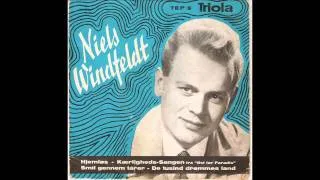 Niels Windfeldt - Smil Gennem Tårer