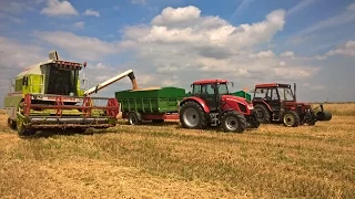 Żniwa 2016 / Claas dominator 88 + 3x Zetor