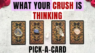 How Does Your Crush See You?👀Their Thoughts & Feelings 💞 PICK A CARD🔮 Timeless In-Depth Love Reading