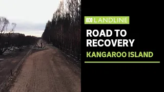 Kangaroo Island on the road to recovery after catastrophic bushfires | Landline