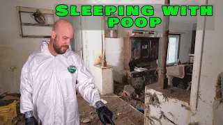 Cat House Cleanup - Cat Hoarder - Hoarding and Extreme Filth - Poop, Urine, Filth and Horrible Odor