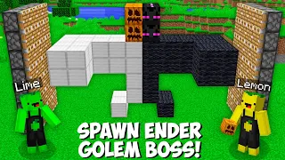 How to SPAWN SECRET MUTANT BOSS GOLEM + ENDERMAN in Minecraft ! LEMON AND LIME MAKE MOB !