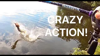 Lure Fishing for Pike! Action Packed Session