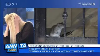 Ποντίκια κανίβαλοι κατακλύζουν τις μεγαλουπόλεις - Αννίτα Κοίτα 30/5/2020 | OPEN TV