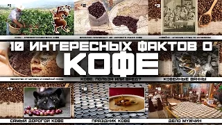 10 ИНТЕРЕСНЫХ ФАКТОВ О КОФЕ (выпуск #19)