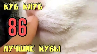 ЛУЧШИЕ КУБЫ 😆 Куб Клуб 😆 [выпуск #86]