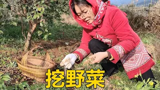 三嫂逃離城市回農村，山上到處都是寶，隨便挖1把野菜就得一餐【農人家三嫂】