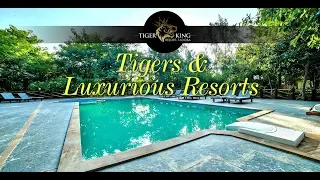 Tadoba Tiger King Resort - A Walkthrough