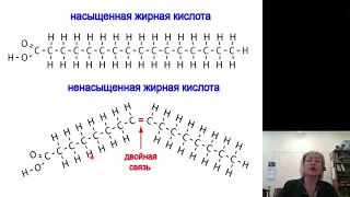 Биохимия 10.Обмен липидов