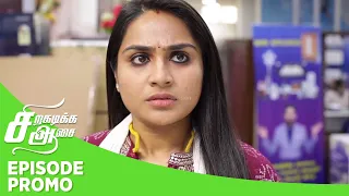 Siragadikka Aasai | Episode Promo 2 | 28th  May 2024