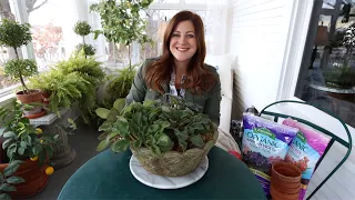 Fixing a Neglected Houseplant Arrangement & Rooting African Violets 🤦‍♀️😆🌿// Garden Answer