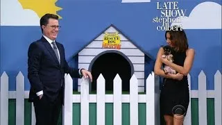 The Late Show 'Rescue Dog Rescue' With Aubrey Plaza