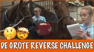 Reverse Challenge: Halloween poetsen | PaardenpraatTV