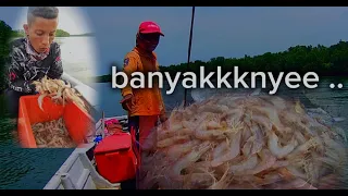 MENJARING UDANG/PUKAT UDANG || 1ARAU JE UDANG BANYAKK#jaring