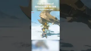 Our last line of defense will be link (Lore Accurate Link)