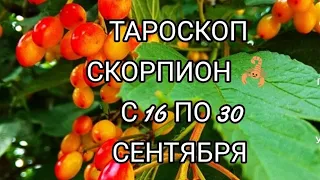 СКОРПИОН 🦂 ТАРОСКОП С 16 ПО 30 СЕНТЯБРЯ &Scorpio Taroscope from 16 to 30 September