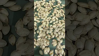 Let’s Make Pumpkin Seeds