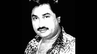 Kehdoon Tumhe by kumar sanu jee.wmv