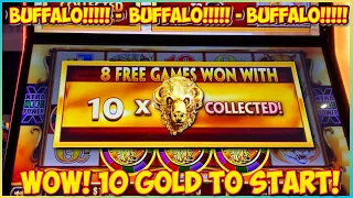 ⭐10 GOLD HEADS TO START!!!!⭐ Buffalo Gold Revolution 😍 Super RARE 400X Session